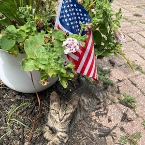 Meet your Posher, Paula